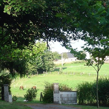 Furnished Bungalow In Monceau En Ardenne With Garden Barbecue Oizy Esterno foto